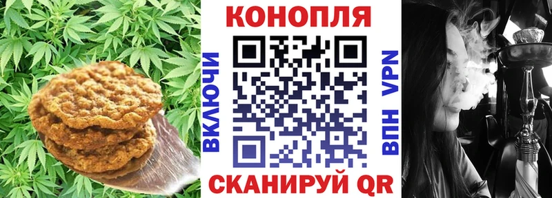 MEGA как войти что такое наркотик Николаевск Cannafood конопля