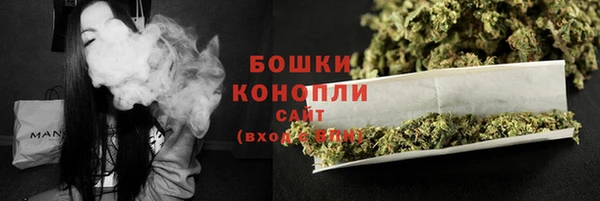 PSILOCYBIN Белокуриха