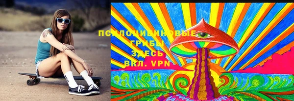 PSILOCYBIN Белокуриха