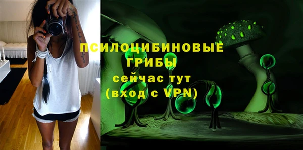 MESCALINE Чердынь