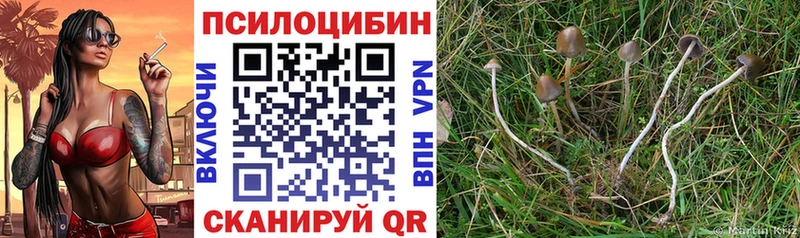 Галлюциногенные грибы MAGIC MUSHROOMS  площадка официальный сайт  Николаевск 